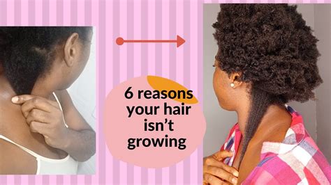 6 Reasons Your Natural Hair Isnt Growing How To Fix It Youtube