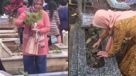 Heboh Geng Emak Emak Cabut Tanaman Keladi Sampai Ke Kuburan Ternyata