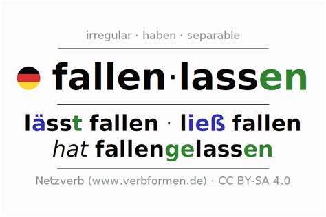 Conjugation German Fallenlassen All Forms Of Verb Examples Rules