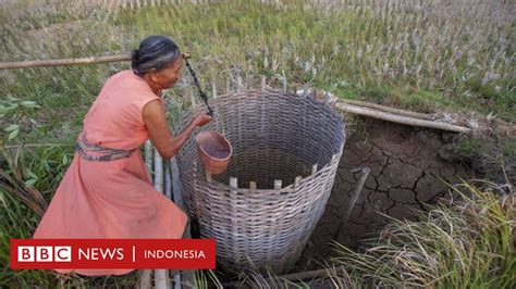 Perubahan Iklim El Nino Telah Berakhir Apa Dampaknya Dan Apa Yang