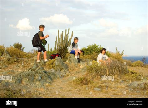 Hiking in St. John U.S. Virgin Islands Stock Photo - Alamy