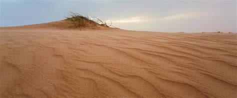 Mauritania Public Holidays 2025 - PublicHolidays.africa