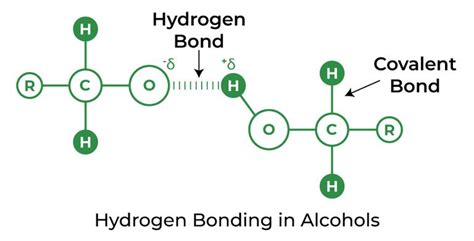 Hydrogen Bonding Definition Types Effects And Properties