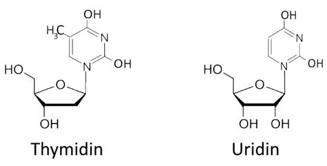 Pyrimidin