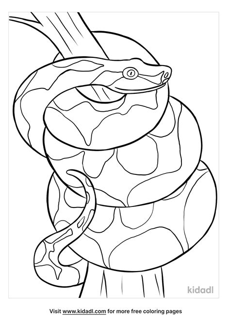 Boa Coloring Pages