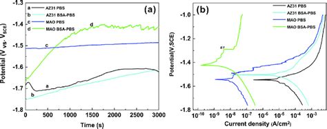 Ocp Curves A And Potentiodynamic Polarization Curves B Of Az31