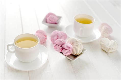 7 Best White Tea Brands To Help You Relax (2024)