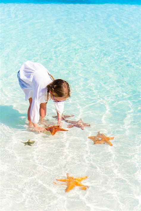 #1 Grand Cayman Stingray City Deluxe Tour starting at $90