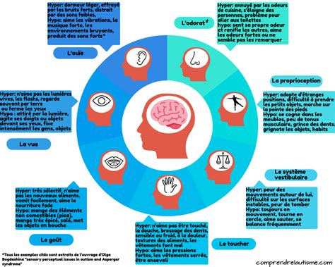 La Perception Sensorielle Chez Les Personnes Autistes