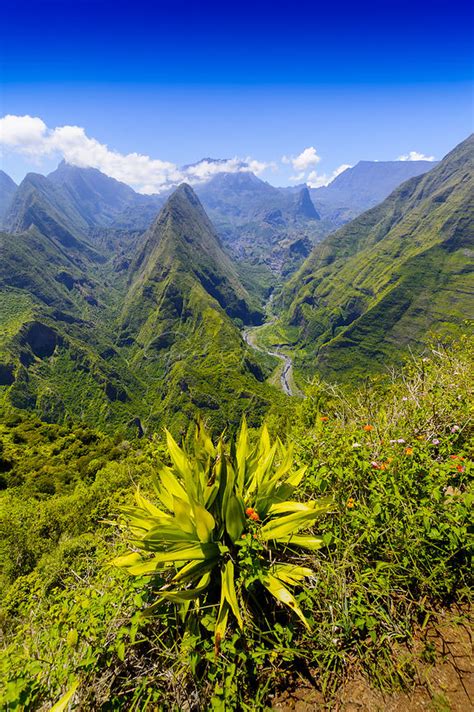 Photos Cirque De Mafate Dos D Ane Ile De La R Union