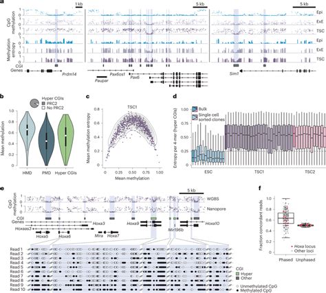 Dynamic Turnover Of Globally Intermediate Dna Methylation A Genome