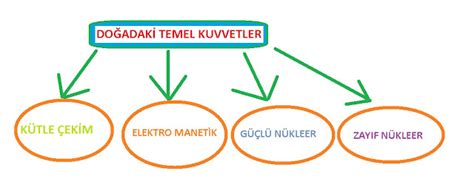 Fizik Dersleri DOĞADAKİ TEMEL KUVVETLER