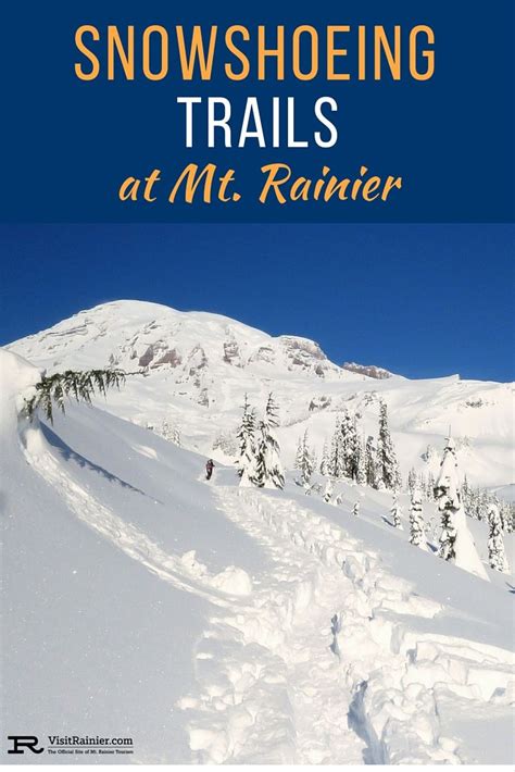 Snowshoeing mt rainier – Artofit