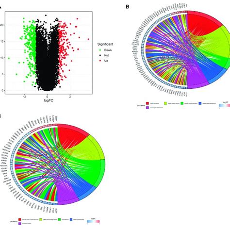 The Identification And Functional Enrichment Analysis Of Degs In Pca