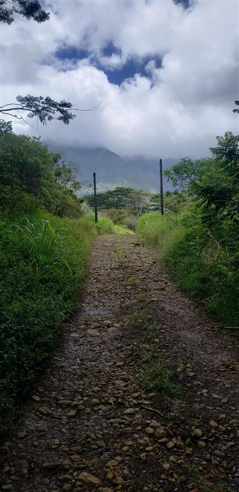 Kauai, Hawaii best hikes I've ever seen : r/hiking