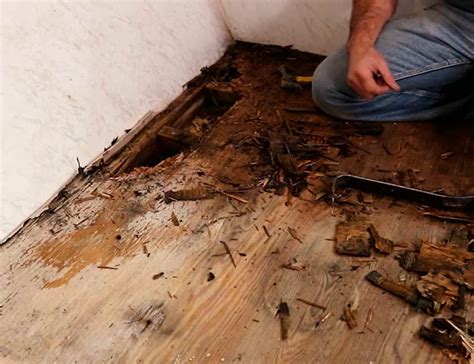 How Much Does It Cost To Replace Rotted Floor Joists Floor Roma