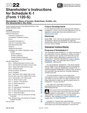 Schedule K Form S Printable Vikki Jerrilee