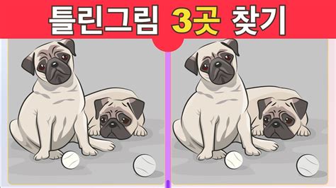 기억력 향상 프로젝트 야구를 좋아하는 강아지 틀린그림찾기 Find the 3 differences 집중력 기억력 다른