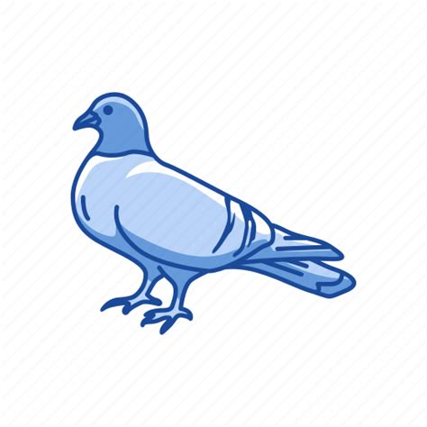 Animal Bird Domestic Pigeon Feather Homing Pigeon Pigeon Wings Icon