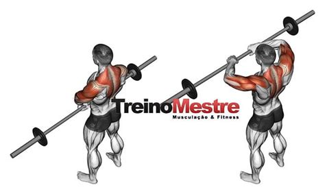 Exercicios Para O Trapezio - Os 7 Melhores exercícios de trapézio - Para um treino mais efetivo!