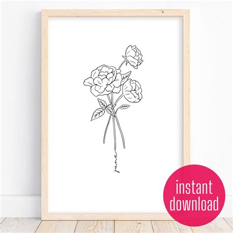 June Birth Flower With Roses Minimalist, Elegant, Modern, Illustrated ...