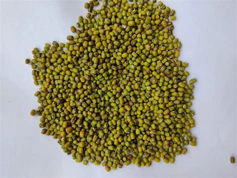 Organic Green Moong Dal At Rs 79 Kg Organic Green Moong In Nalanda