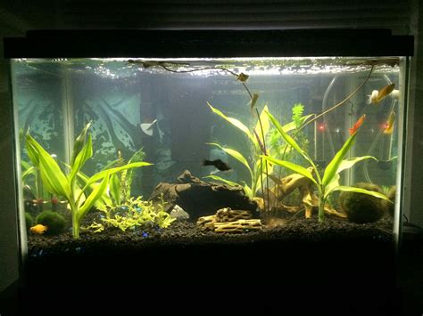 25 Gallon Fish Tank - Asking List