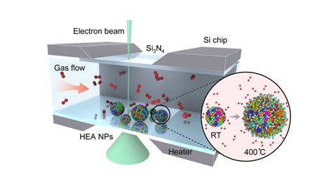 Toc Image Eurekalert Science News Releases