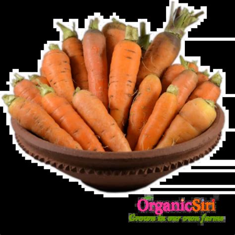 Organic Carrot 500g Organicsiri Farms