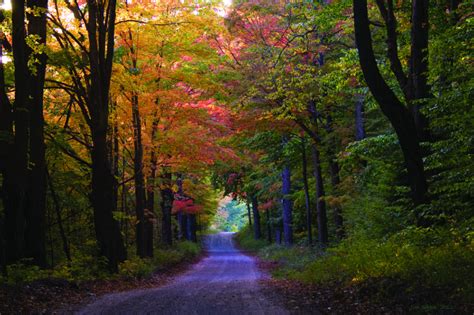 5 Fall colors trails to explore across Michigan - Empowering Michigan