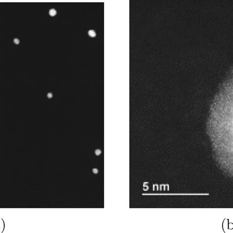 A Low Magnification C S Corrected STEM HAADF Image Of A Typical