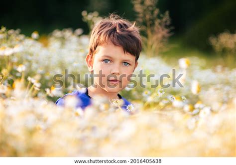 Cute Boy Blue Eyes Bouquet Daisies Stock Photo 2016405638 | Shutterstock