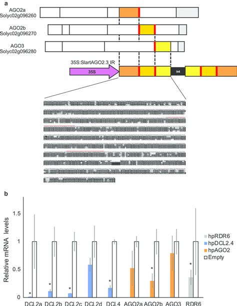 A Schematic Diagram Of The Artificial Chimeric Genes Ago2 And 3 Download Scientific Diagram