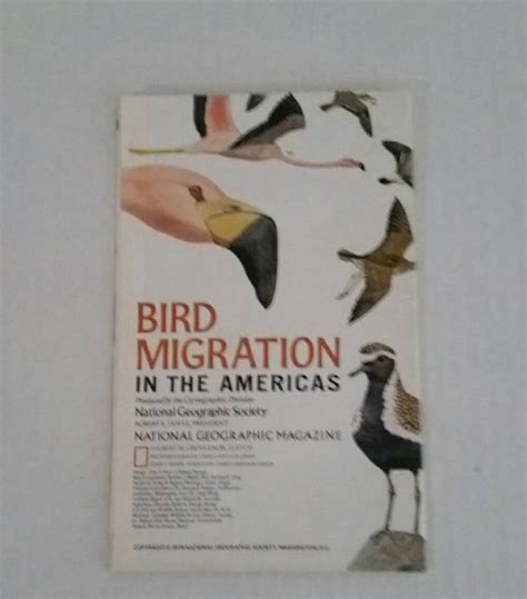 Bird Migration In The Americas National Geographic Map