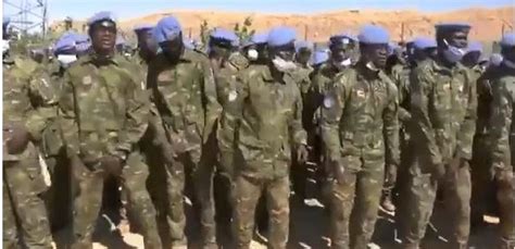 Soldats Ivoiriens Arr T S Au Mali La Surprenante R Action De L Onu