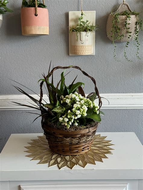 Dish Garden with Blooming plants in Spring Branch, TX | Hill Country