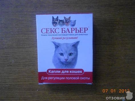 Капли и таблетки для кошек от гуляния