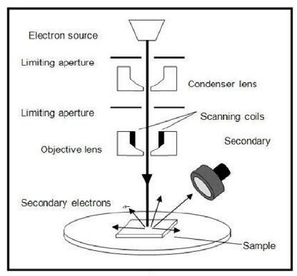 Scanning Electron Microscope Drawing