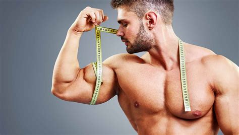 Best Biceps Exercises