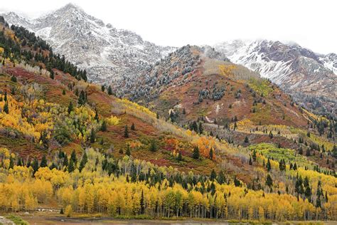 Silver Lake Flat with Fall Colors - American Fork Canyon, Utah ...