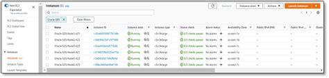 Architecture Using Amazon EBS Volumes Dell APEX Block Storage For AWS