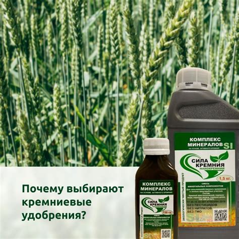 Комплекс минералов «СИЛА КРЕМНИЯ» | Нанокремний: Комплекс минералов ...