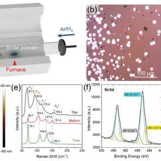 Increasing The Flake Size Of Asgrown Snse By Preannealing The Mica