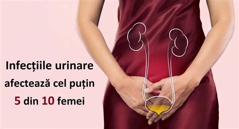 Studiu Infec Iile Urinare Afecteaz Cel Pu In Din Femei Afl