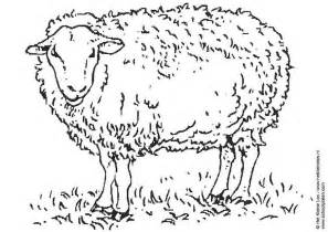 Baa Baa Black Sheep Coloring Page - Coloring Home