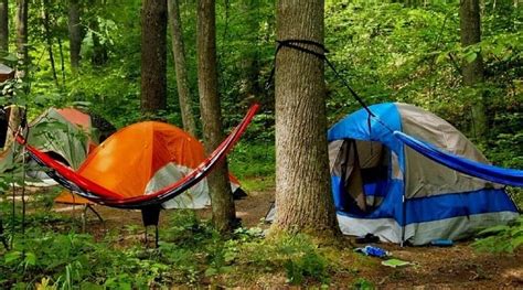 Hammock Vs Tent Navigating The Choice For Your Perfect Campsite