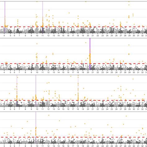 Genome Scan Analyses Using Pcadapt On The Whole Dataset And Each