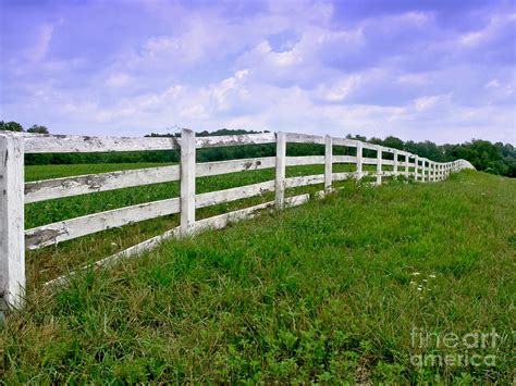 White Wood Fence Photograph by Olivier Le Queinec