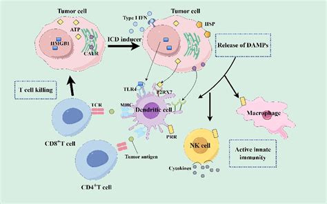 Figure From Advancements In Stimulus Responsive Co Delivery