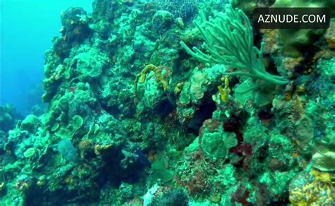 Kimberly Leemans Bikini Scene In The Big Swim AZNude